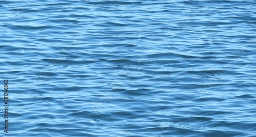 Natural light blue water surface with soft waves as a background © natalya2015