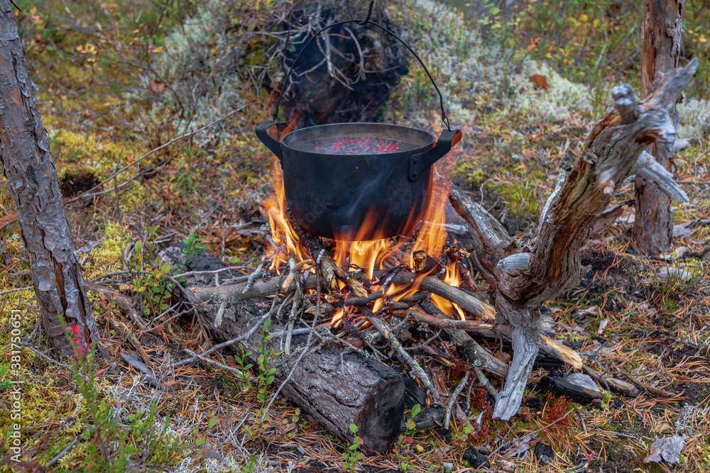 Beautiful campfire in a taiga forest in the wild. Survival in the forest. Cauldron over the fire. In the cauldron, water and berries of lingonberries and blueberries 