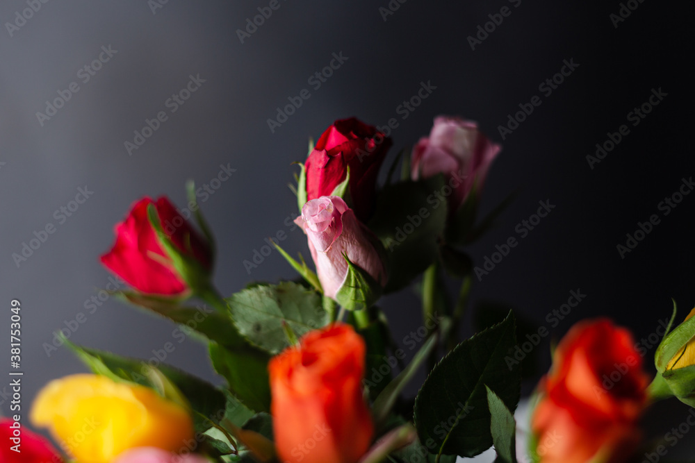 Fototapeta premium flowers on black background 