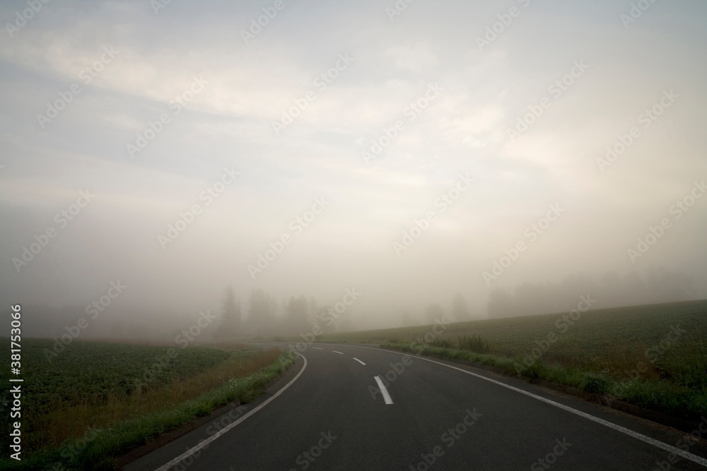 霧の道