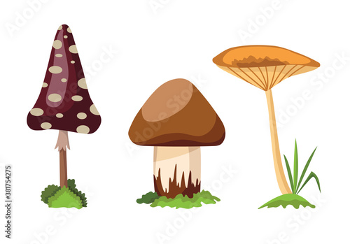 Mushroom and toadstool. Illustration of the different types of mushrooms on a white background. Flat summer forest mushrooms concept on green grass
