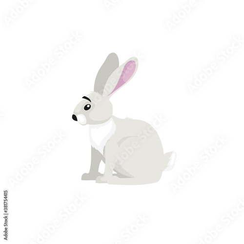 Arctic white hare. Cartoon flat style illustration of polar and arctic animal. Vector illustration for kids, education. Isolated on white background.