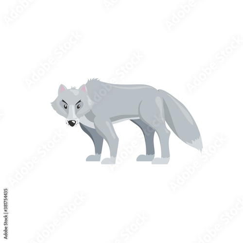 Arctic polar wolf. Cartoon flat style illustration of polar and arctic animal. Vector illustration for kids  education. Isolated on white background.