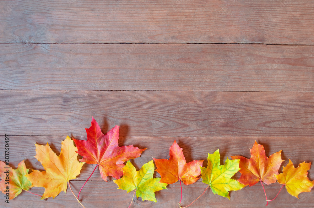 Autumn yellow and orange leaves on wooden background. fall wooden background with copy space Autumn yellow and orange leaves on wooden background. fall wooden background with copy space