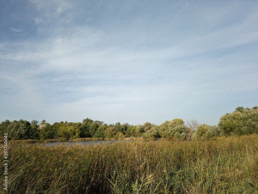 A beautiful autumn rural landscape. A sunny day. Landscape in the countryside