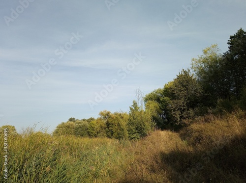 A beautiful autumn rural landscape. A sunny day. Landscape in the countryside