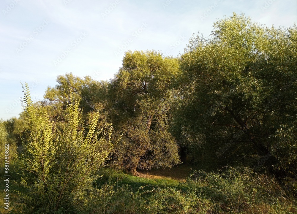A beautiful autumn rural landscape. A sunny day. Landscape in the countryside A beautiful autumn rural landscape. A sunny day. Landscape in the countryside