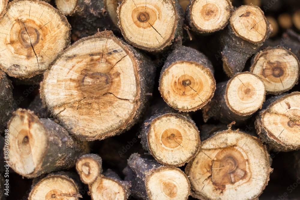 Wooden logs as a background texture. A pile of logs cut. Wooden background Wooden logs as a background texture. A pile of logs cut. Wooden background