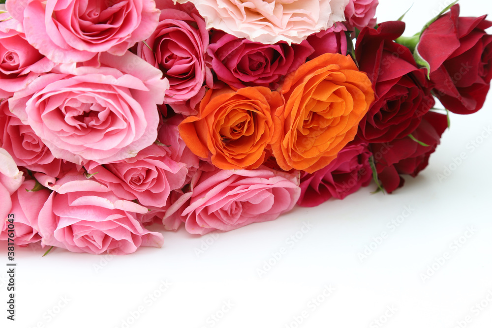 Obraz premium 薔薇の花束