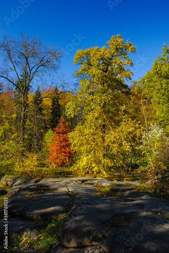 Nice autumn forest with rocks and yellow leaves trees view at sunny day in Ukraine