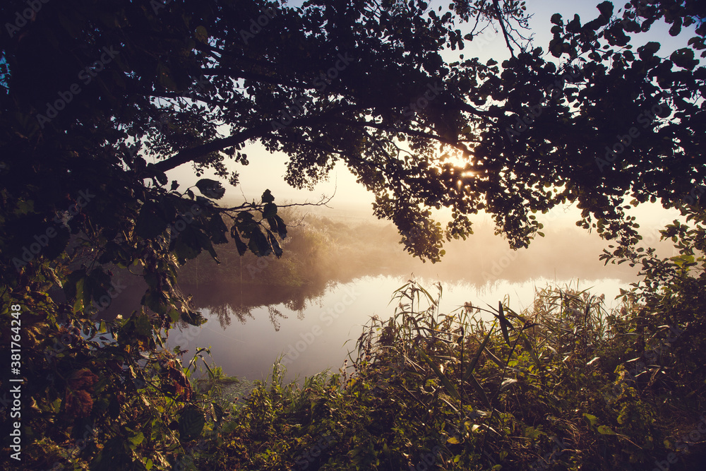 morning mist above the river at the sunrise morning mist above the river at the sunrise