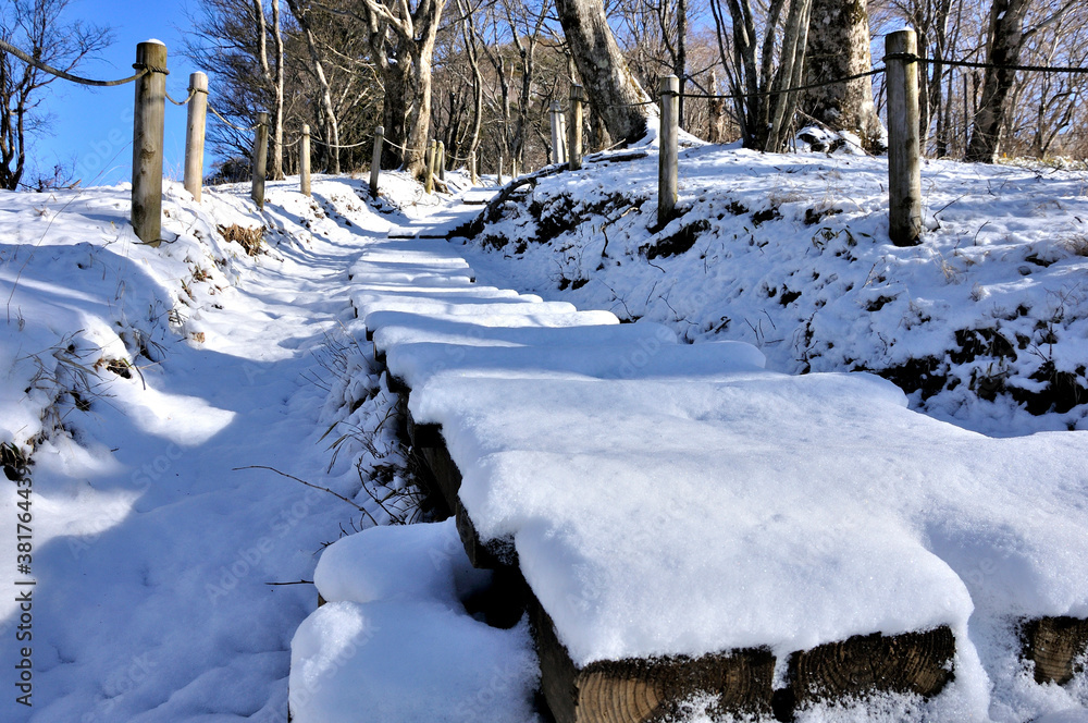 雪化粧した山道 丹沢山地の鍋割山