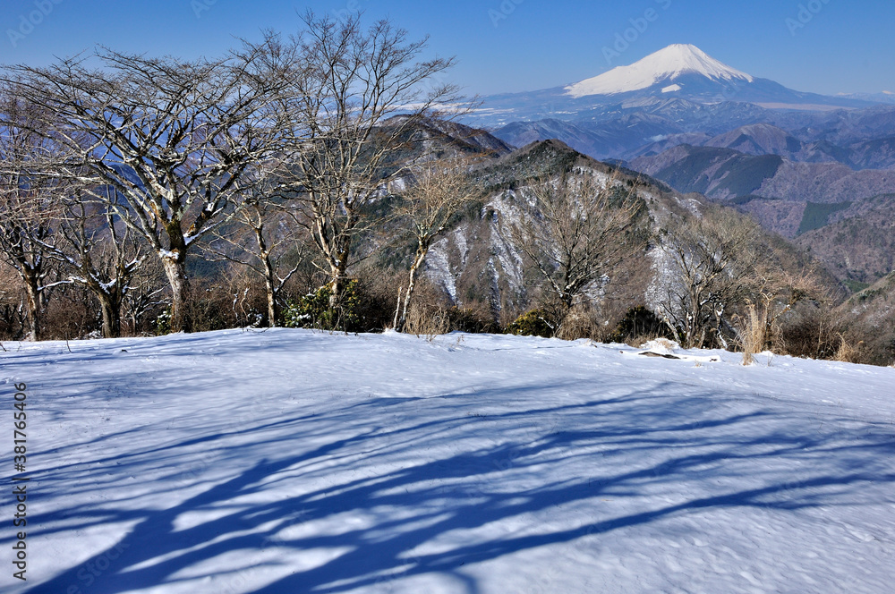 Obraz premium 厳冬の富士山眺望 丹沢山地の鍋割山山頂より望む