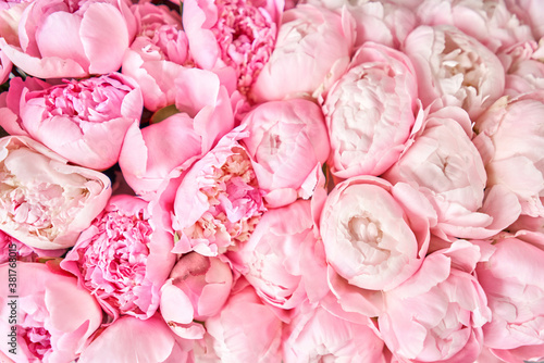 Fototapeta Naklejka Na Ścianę i Meble -  Floral carpet or Wallpaper. Beautiful Pink peony flower for catalog or online store. Floral shop concept . Beautiful fresh cut bouquet. Flowers delivery