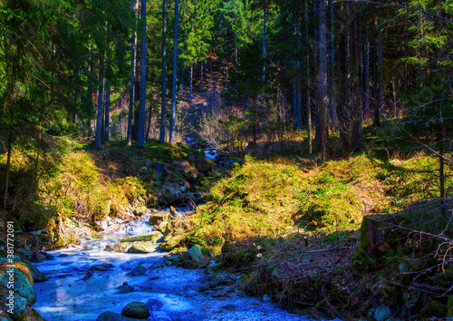 Landscape shot of the Alps between St. Johann and Sand in Taufers in Tirol  Italy