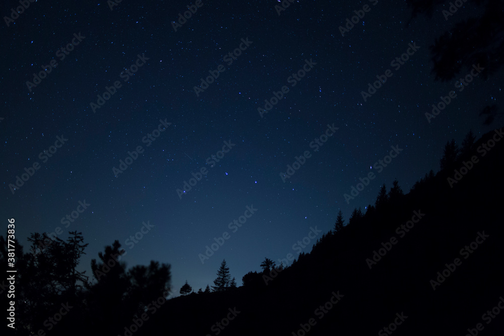 nightscape, night full of stars, view at the stars and the constellation zodiac, great bear, great waggon through trees, Bavaria, Germany