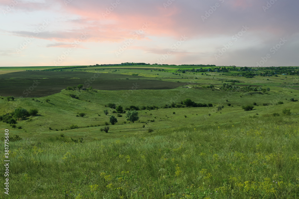 Beautiful landscape with green grass on sunny day Beautiful landscape with green grass on sunny day