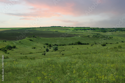 Beautiful landscape with green grass on sunny day