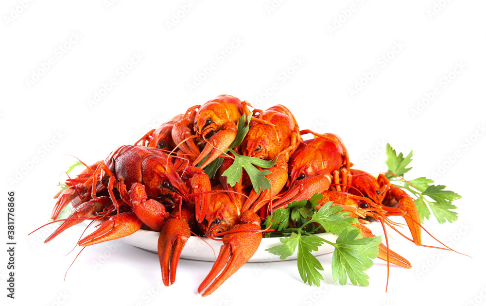 Plate with delicious boiled crayfishes on isolated white Plate with delicious boiled crayfishes on isolated white