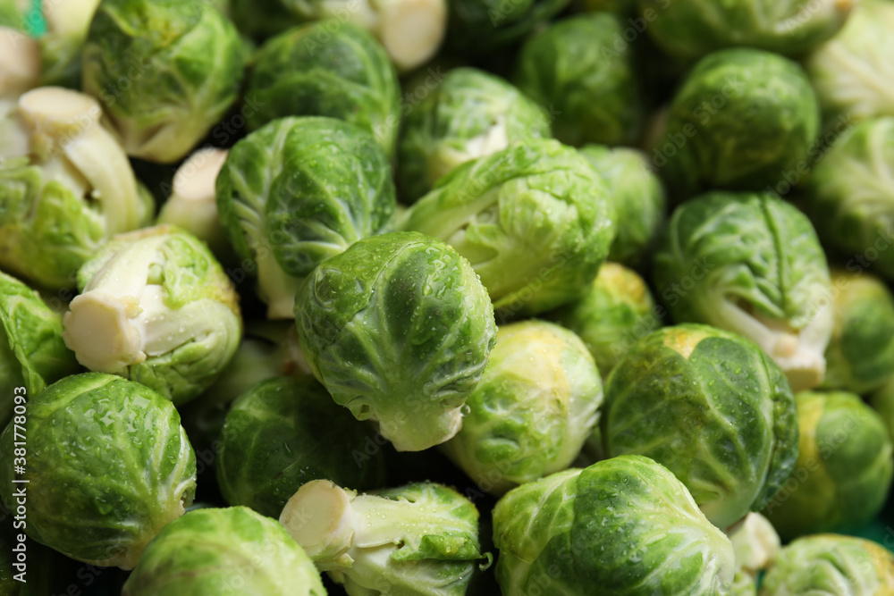 Fresh wet Brussels sprouts as background, closeup Fresh wet Brussels sprouts as background, closeup