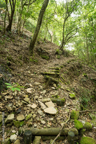 崩れかけている森の中の山道 photo