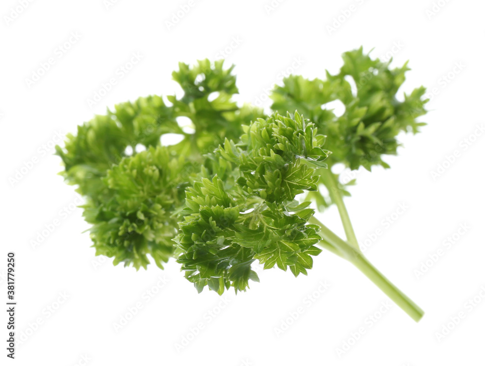 Fresh green curly parsley on white background Fresh green curly parsley on white background