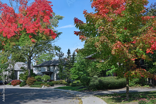 Residential street with maple trees in fall colors
