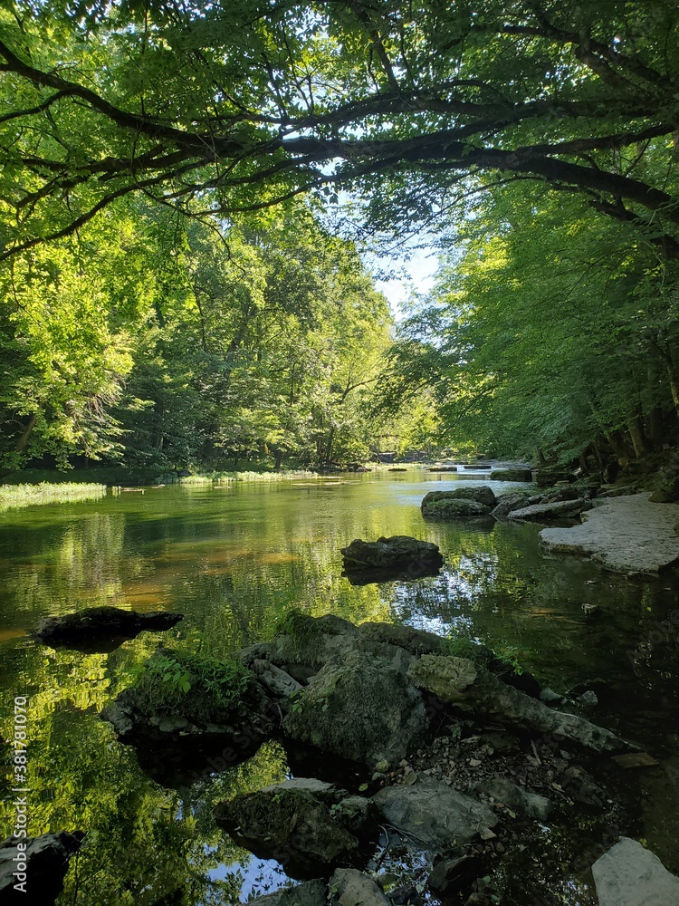 river in the woods river in the woods