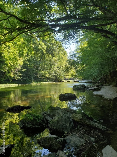 river in the woods