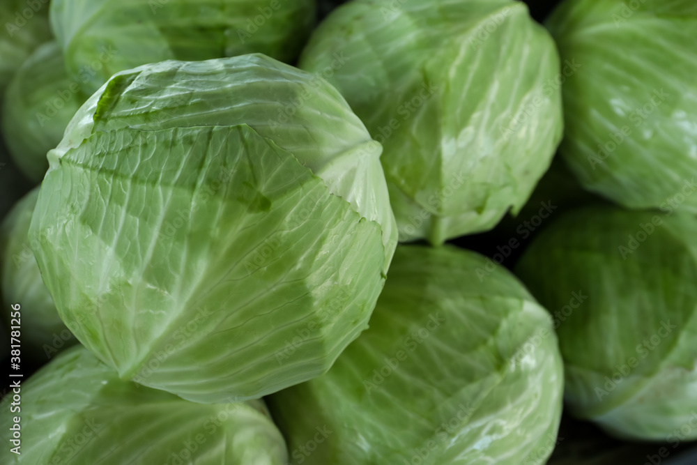 Fototapeta premium Pile of ripe green cabbages as background, closeup
