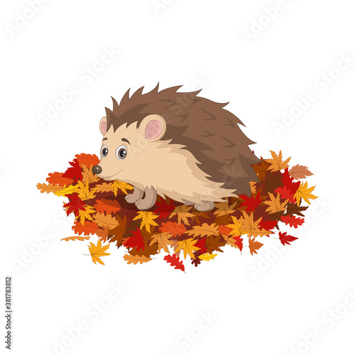 Cute hedgehog cartoon on autumn leaves