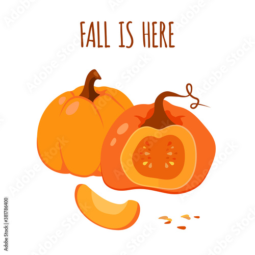 Fall is here. Greeting card with gourd, closeup. Autumn mood colorful invitation with orange drawn pumpkins. Template banner or poster for on Thanksgiving or Halloween celebration. Vector illustration