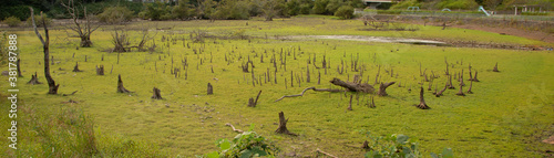 View of drained dam lake bottom at Aono dum in Sanda city, Hyogo, Japan photo