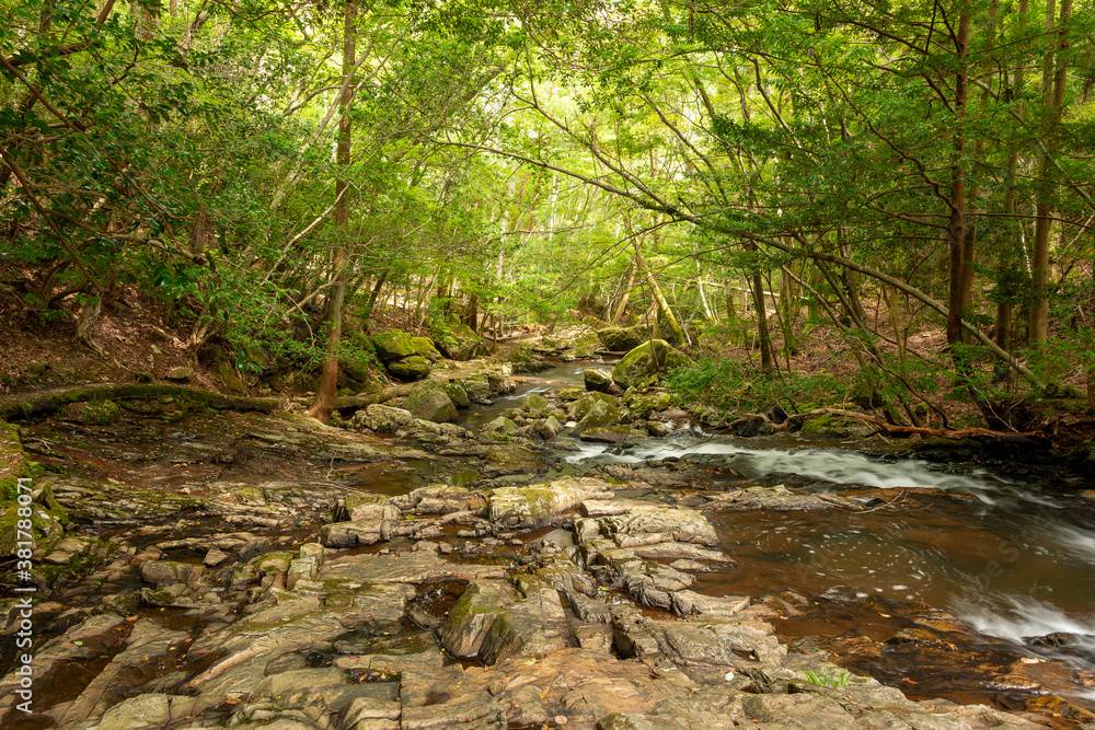 Water flow in Ruri valley in Sonobe, Nantan city, Kyoto, Japan in summer Water flow in Ruri valley in Sonobe, Nantan city, Kyoto, Japan in summer