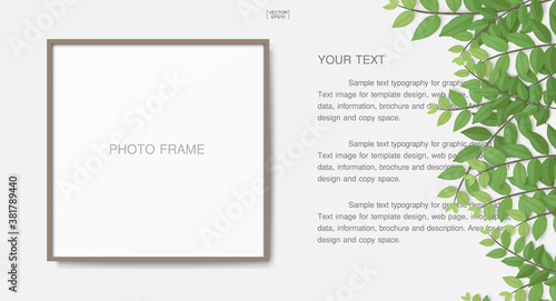 Photo frame or picture frame background with branch green leaf. Vector.