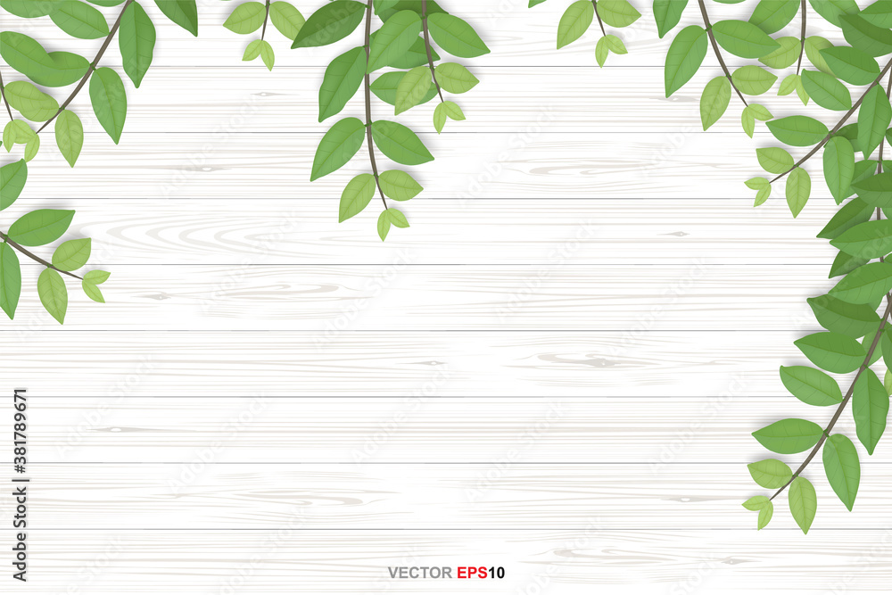 Fototapeta premium Wood texture background with green leaves. Vector illustration.