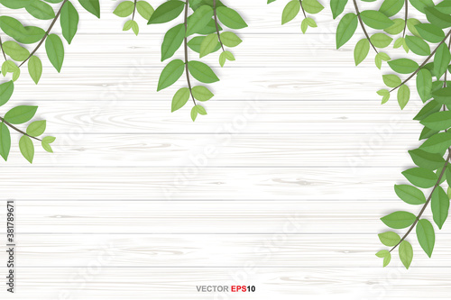 Wood texture background with green leaves. Vector illustration.