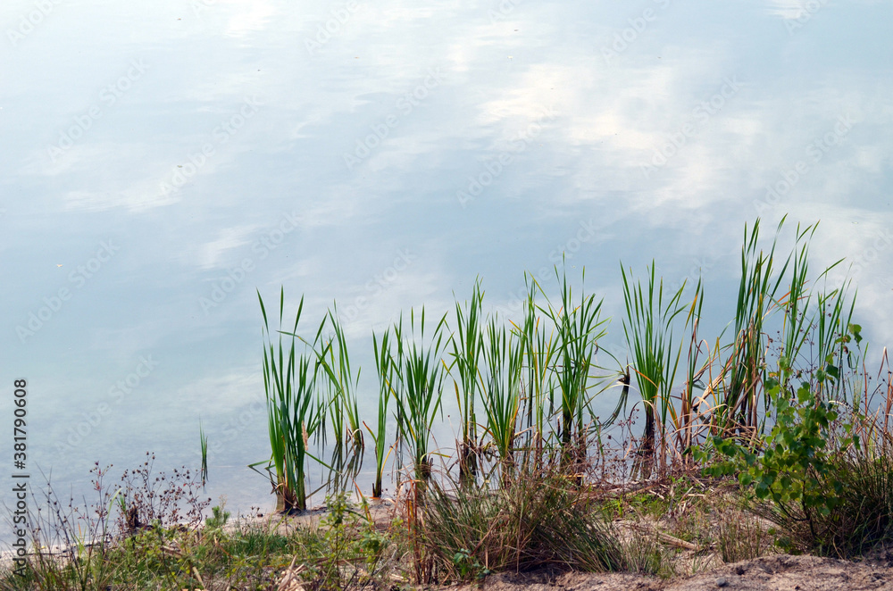 Fototapeta premium Blue Lake in the Chernigow region, Ukraine.Former quarry of quartz sand for glass production.Popular local resort at present
