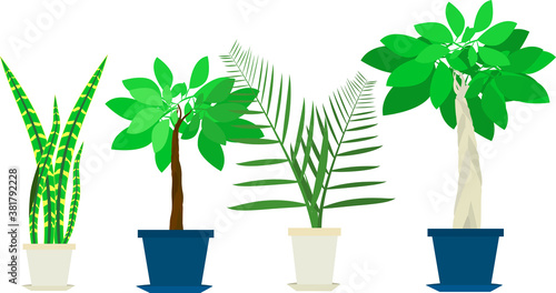 シンプルで可愛い観葉植物のイラスト