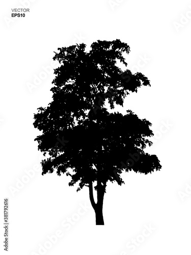 Silhouette tree isolated on white background. Park and outdoor object idea use for landscape design, architectural decorative. Vector.