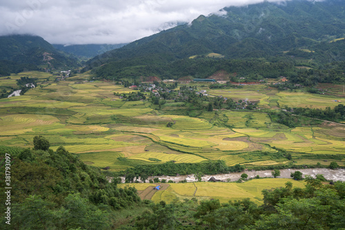 Terraced rice field landscape in harvesting season in Y Ty, Bat Xat district, Lao Cai, north Vietnam