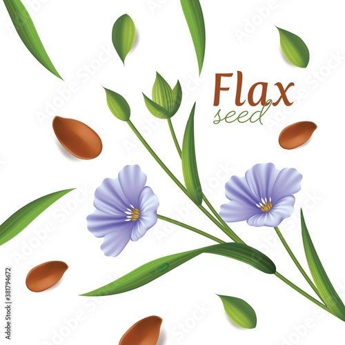 linseed oil, flaxseed and flowers vector illustration
