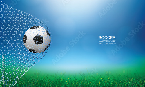 Soccer ball in goal. Football ball and white net with light blurred bokeh background. Vector.