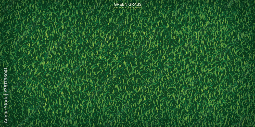 Green lawn grass texture for background. Vector. Stock Vector | Adobe Stock