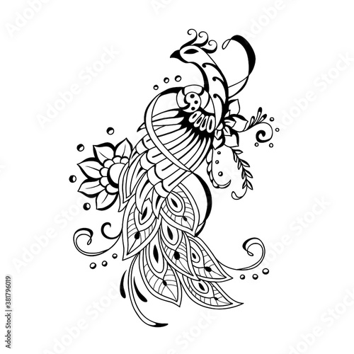 Beautiful  Hand drawn peacock
