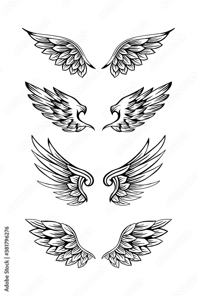 Fototapeta premium Set of wing illustration