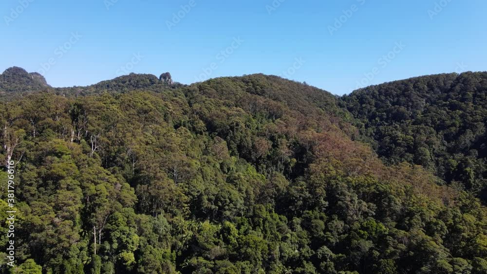 Green forest and mountain hills of Mount Cougal Currumbin Valley QLD Australia - aerial Green forest and mountain hills of Mount Cougal Currumbin Valley QLD Australia - aerial