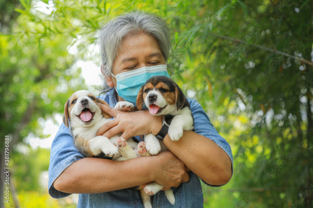 Portrait of Senior Asia woman with protective mask and with her puppy dog playing at the park.New normal style to protect virus.