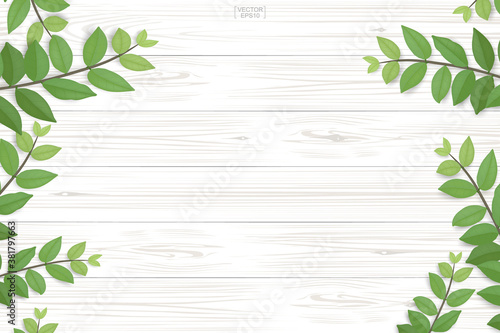 Wood texture background with green leaves. Vector illustration.