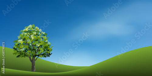 Tree with green grass hill or mountain area and blue sky. Abstract background park and outdoor for landscape design idea. Vector.